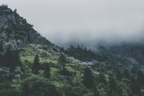 花开在即，惊喜待现