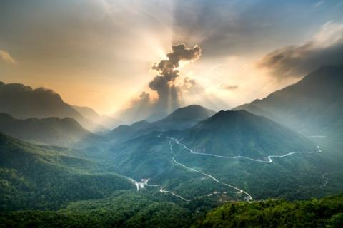 绿植盆栽，点亮居室新风貌